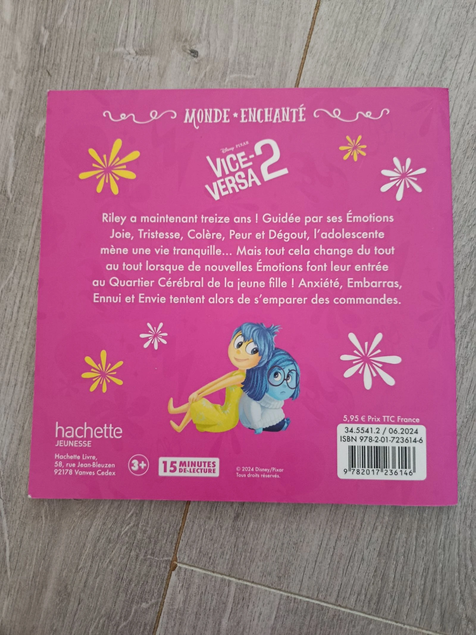 Livro vice-versa 2 – photo 2